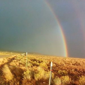 Rainbow on a rough day