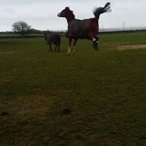 No idea what he is doing here!