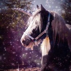 How to Embarrass Your Horse