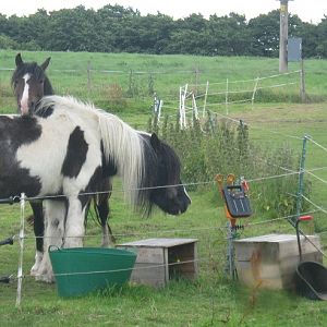 The old & the young - chilling!