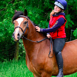 To hog or not to hog? hardly any mane left