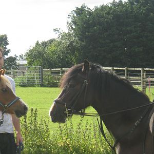 the Welsh in our lives