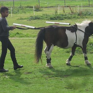 Acorn gives Devon a lesson!