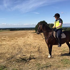 Autumn Hack- enjoying the view