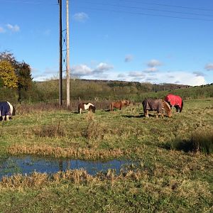 Our Gang - tolerance and peace!