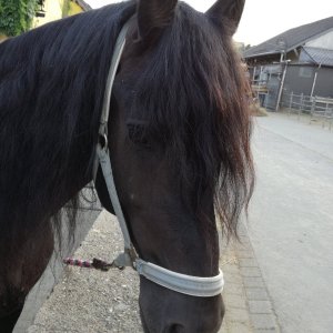 Ready for a new home