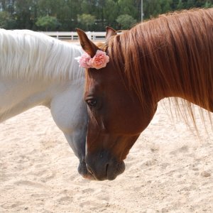 Rest in peace my boys,