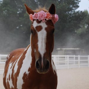 I said notice me I'm pretty