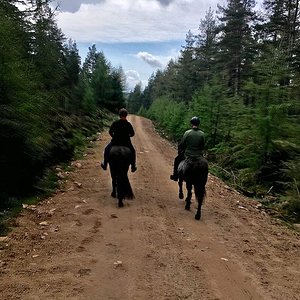 Tor and Fakur in the forest.