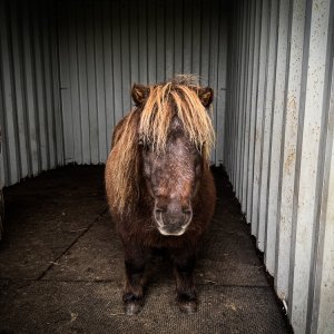 Media 'IMG_3995-2.jpg' in category 'Example Category'