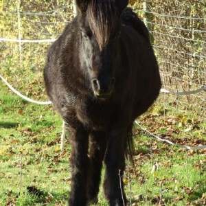 Katla :( Miss you darling :( R.I.P.