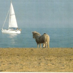 Sol at the beach...beleve it or not but that was taken on the 15 of december!