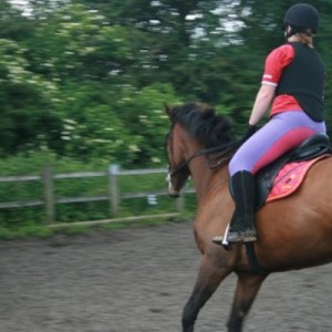 Canter