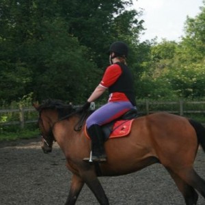 canter