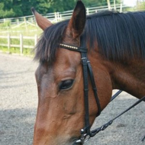 funny face - oops lol