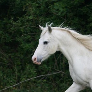 4975.jpg