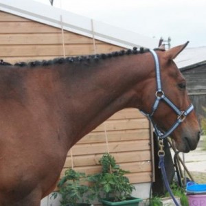 I know you have more food somewhere