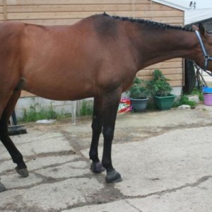 see....FOODDDDDDD!!!!!! LIAR!!!