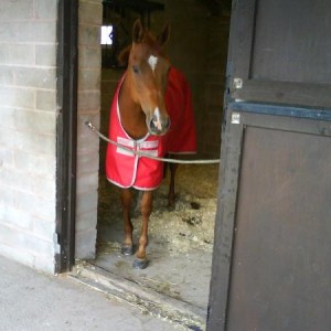 like my new pad???