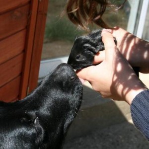 Charlie meets his Mini Me!