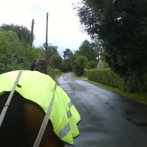 towards the serpentine