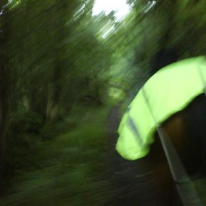 up the bridleway (blurry due to bad footing)