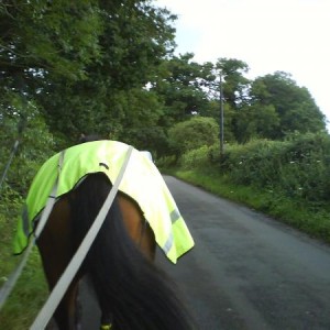 Towards the scary barn