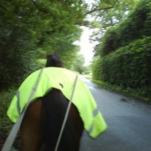 towards the 2nd manor gate