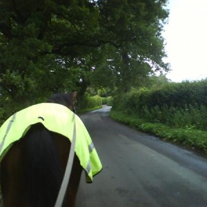 Nearly home (field on the right)