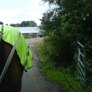 Through the yard gate