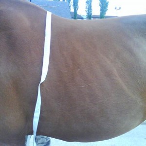 my very good doer after 2weeks on 2hours turn out