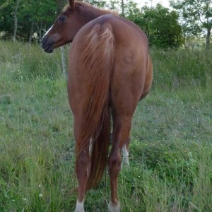 what you doing behind me?