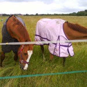 we like to jump out of and stress mum!!:)
