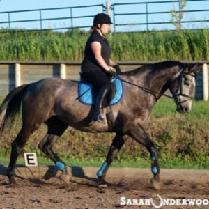 Trotting