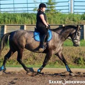 Trotting