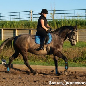 Cantering