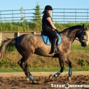 Cantering