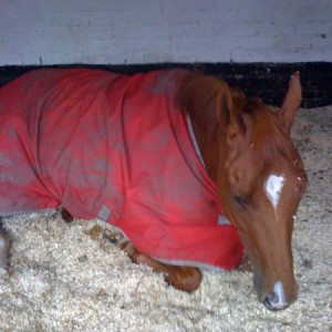 Sleepy girl