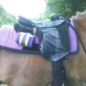 Mr Shays new saddle pad