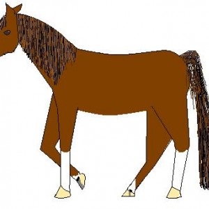 paint horse