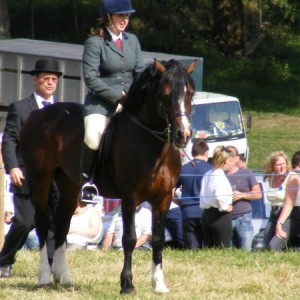 2007 0811vaynorshow0194