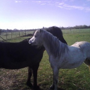 Tilly  and Tiny