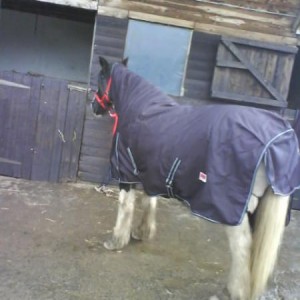 Nu Rug :)