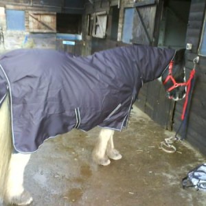 Nu Rug :)