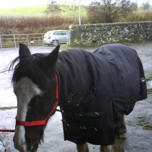 Nu Rug :)