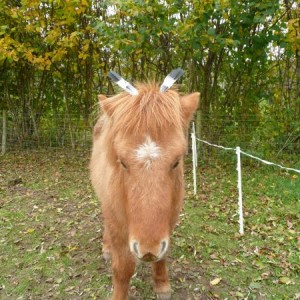 "thats it,im ringing childline"!