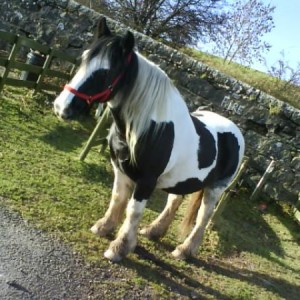 spotless with her rug removed