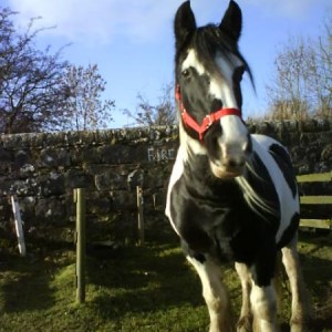 spotless with her rug removed