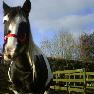 spotless with her rug removed