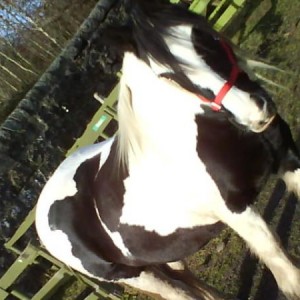 spotless with her rug removed